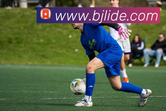 华体会APP 封面图