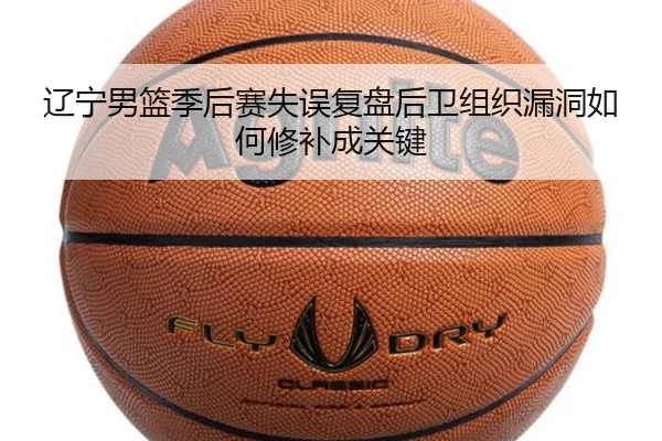 辽宁男篮季后赛失误复盘后卫组织漏洞如何修补成关键